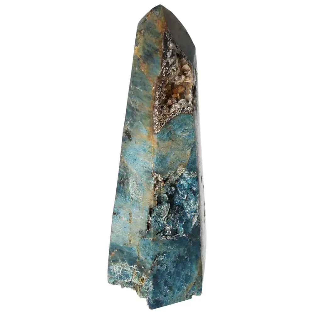 orbitvu|type:image2d