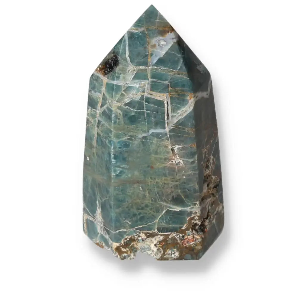 orbitvu|type:ORBITVU 360|https://orbitvu.co/share/JBbPXCujhsSXsQvZaF9PJ/6530812/360/iframe