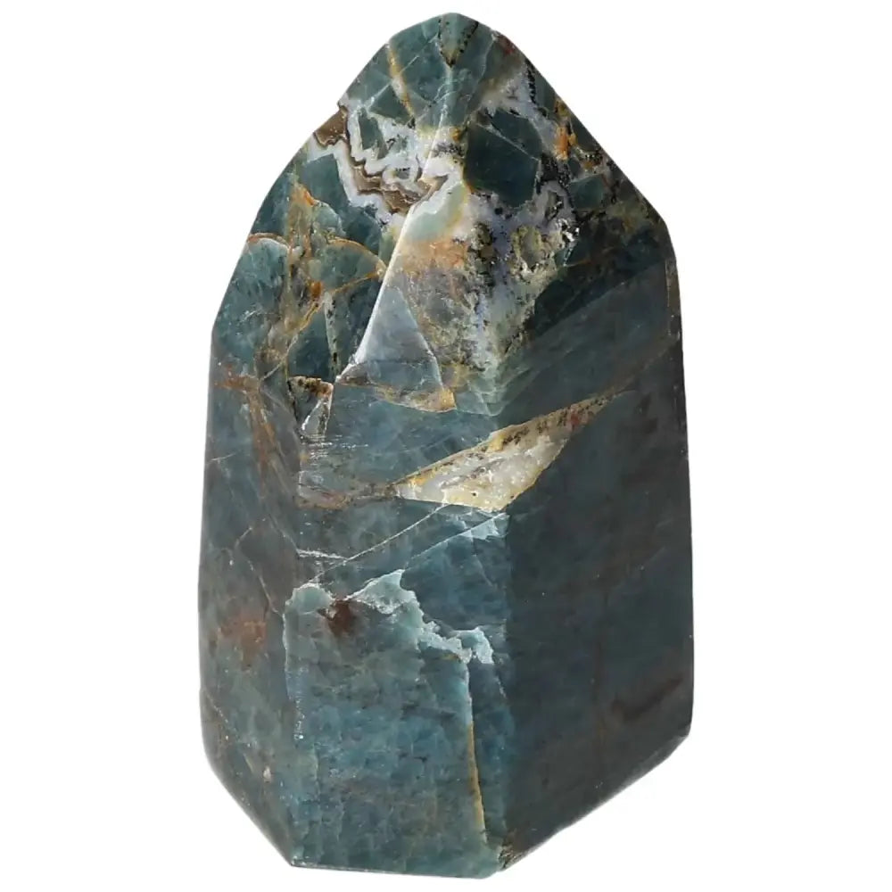 orbitvu|type:image2d