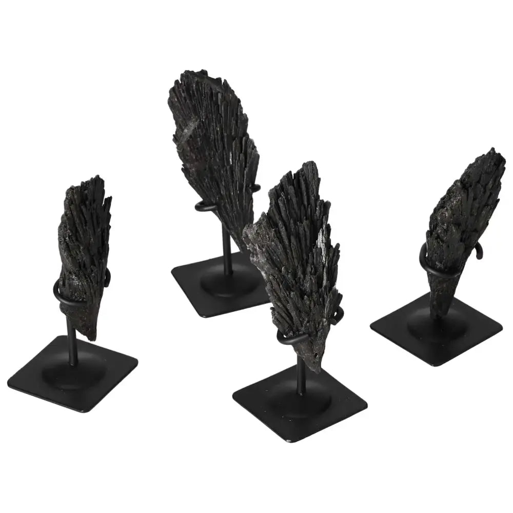 orbitvu|type:image2d