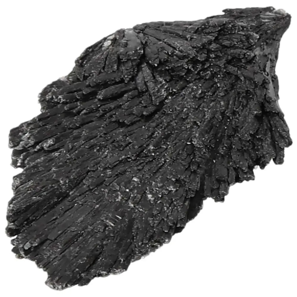 orbitvu|type:image2d