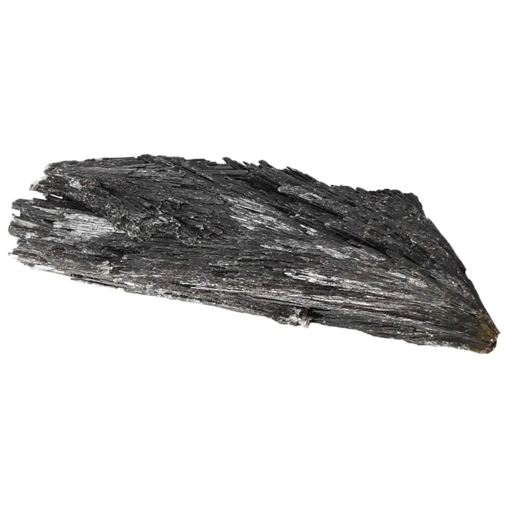 orbitvu|type:image2d