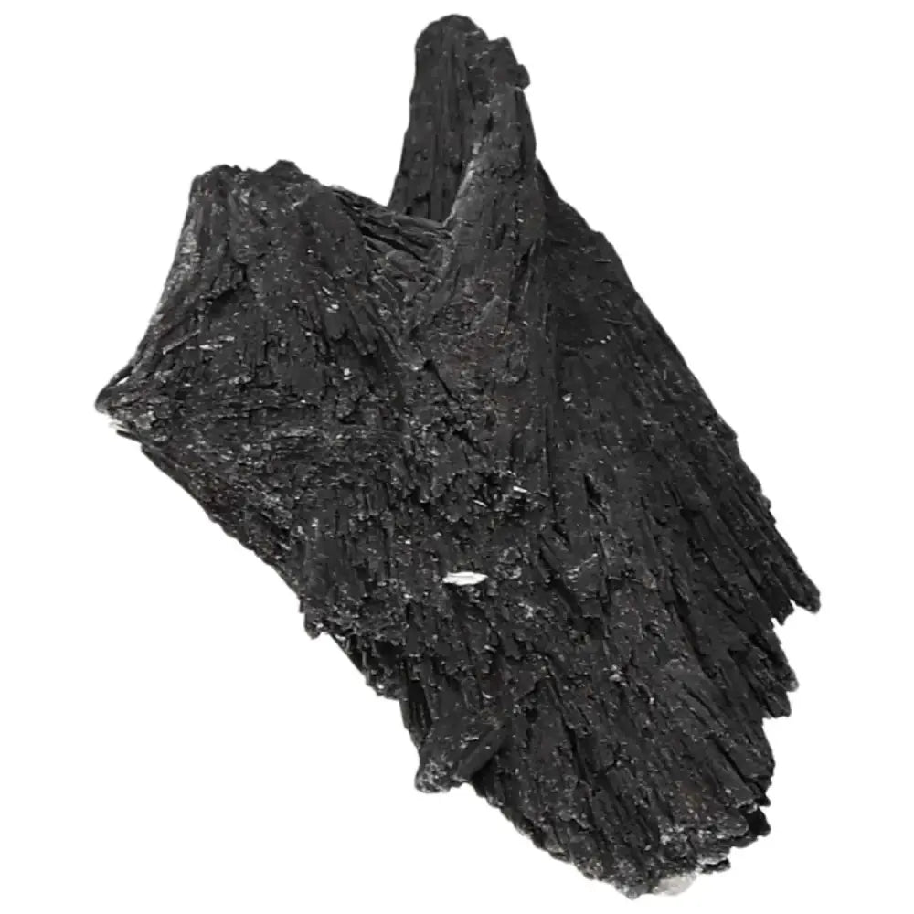 orbitvu|type:image2d