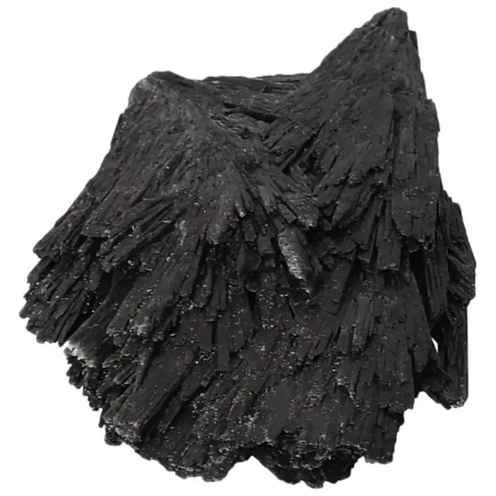 orbitvu|type:image2d