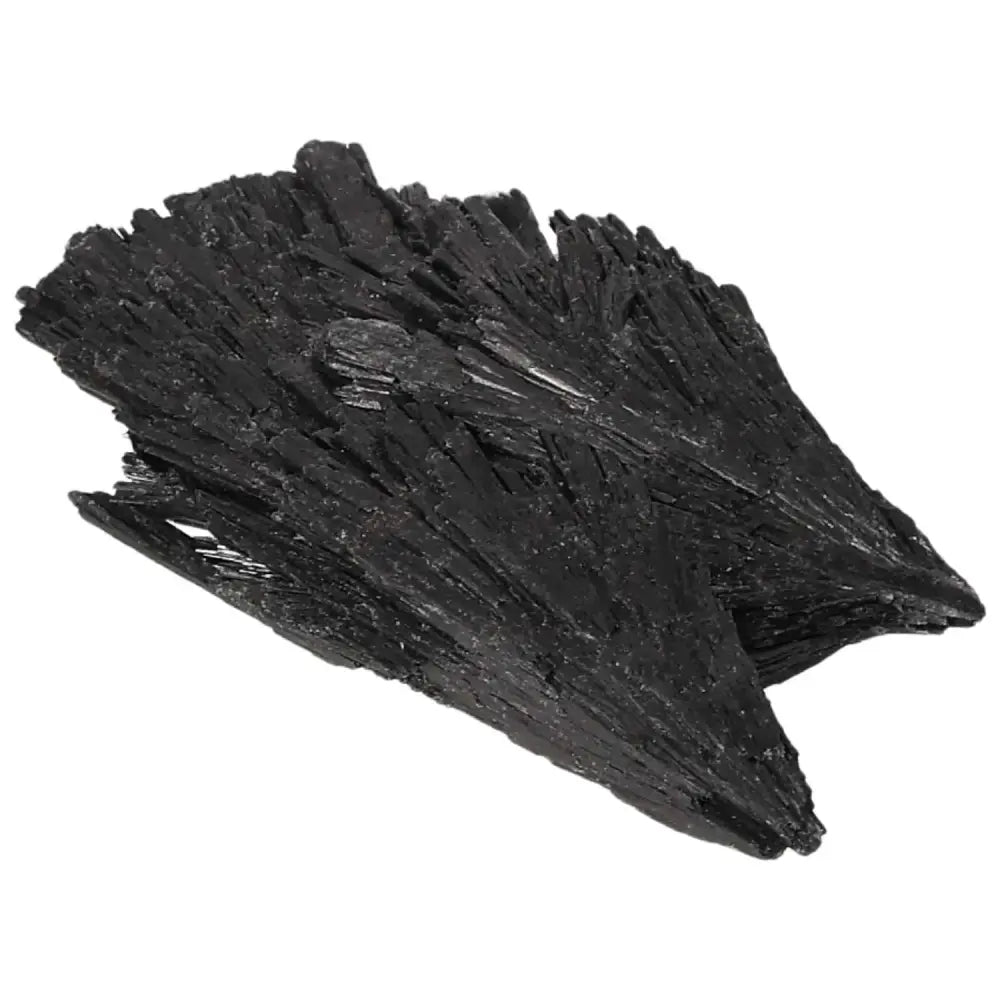 orbitvu|type:image2d