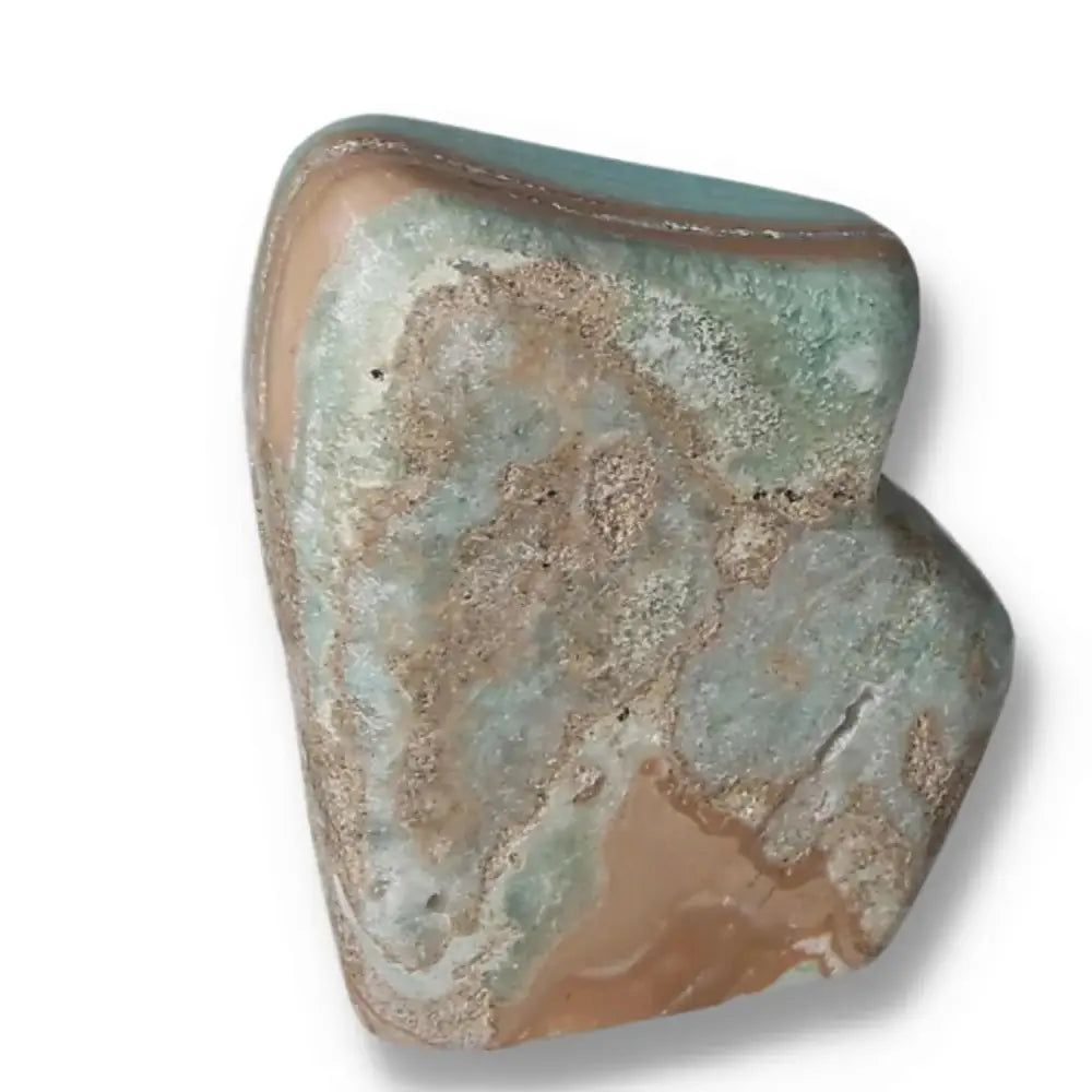 orbitvu|type:image2d