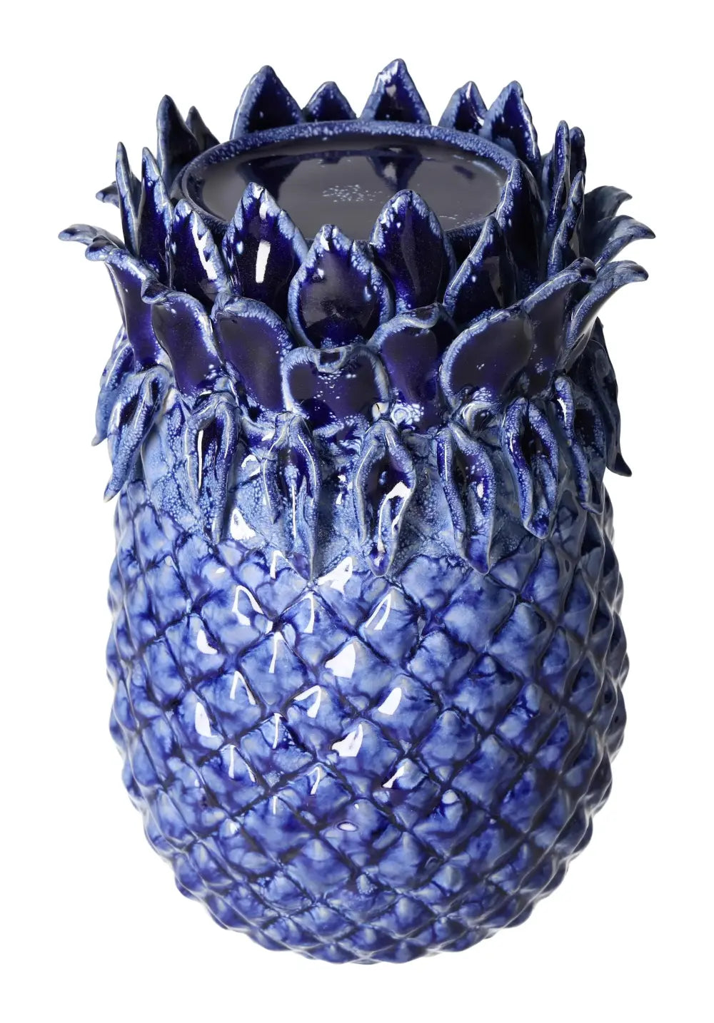 orbitvu|type:image2d