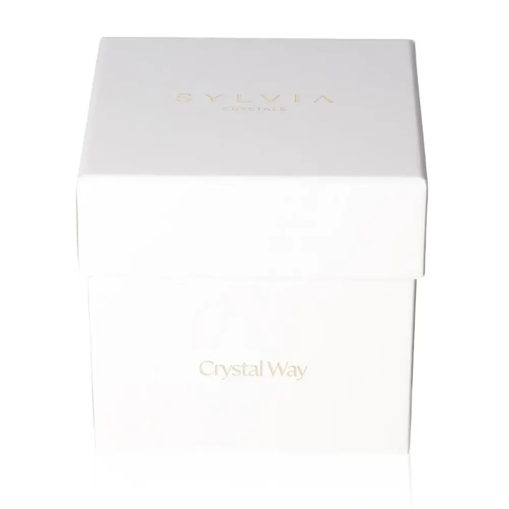 orbitvu|type:ORBITVU 360|https://orbitvu.co/share/kZBgai2kxYtXgzxSWTdW3H/6392472/360/iframe