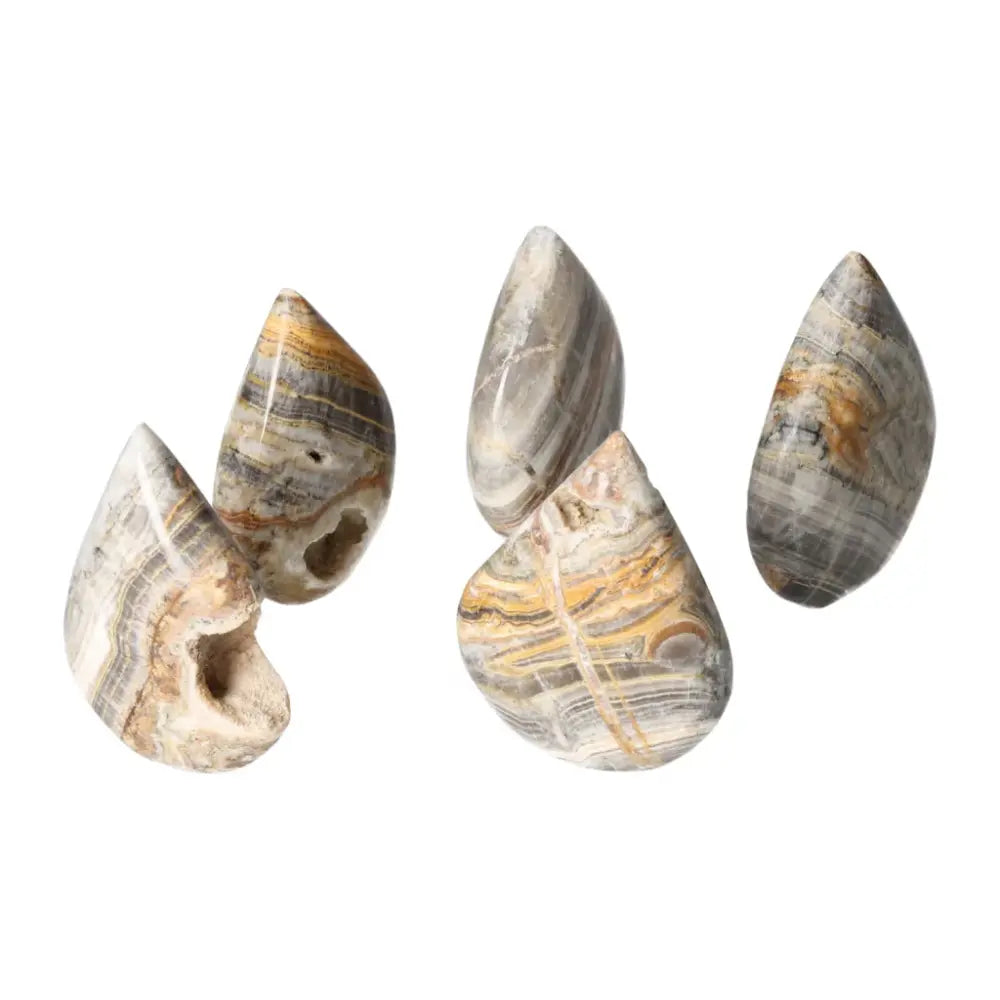 Four pieces of Bumblebee Onyx gemstone displaying unique yellow, black, and white patterns, symbolizing strength and balance.