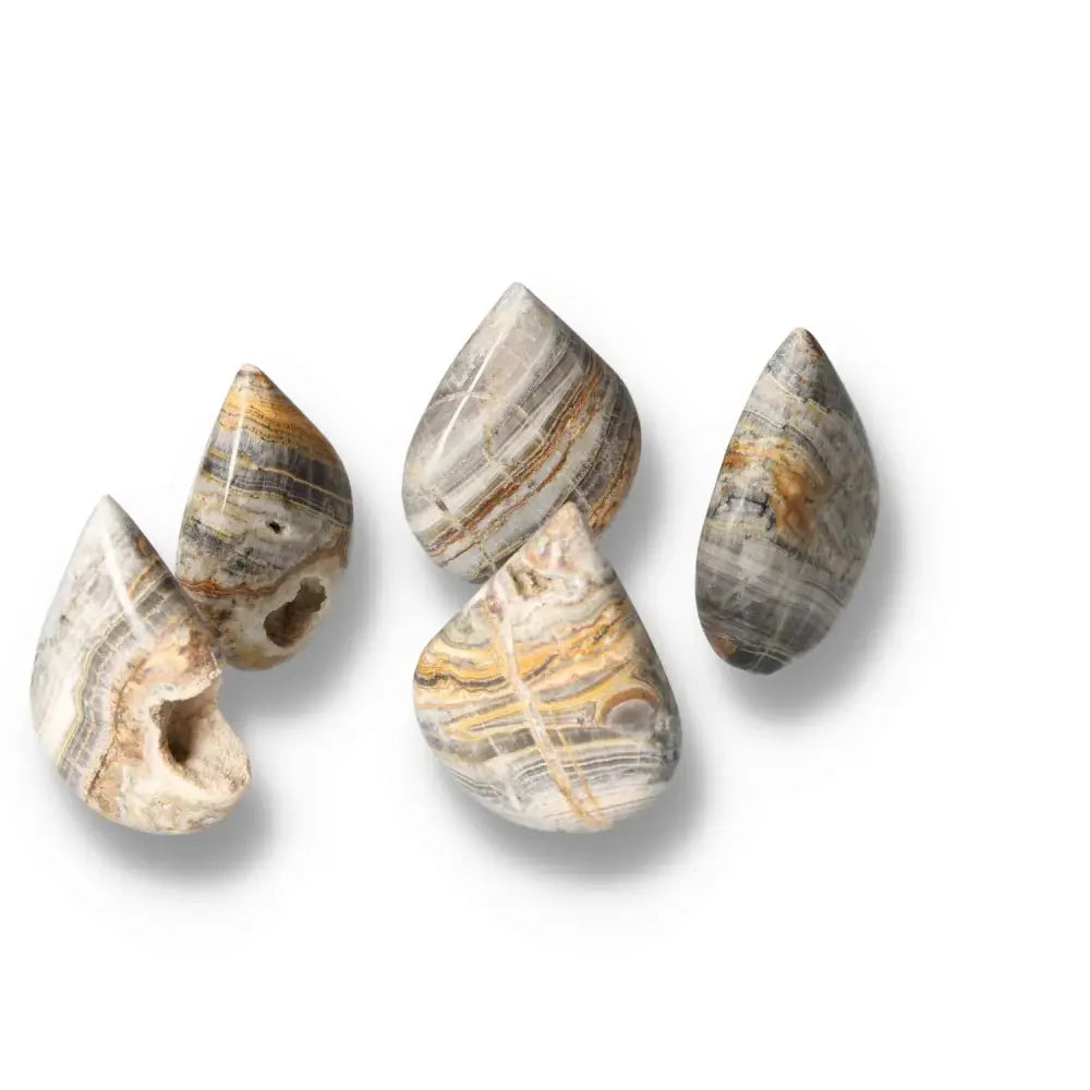 Five Bumblebee Onyx stones with yellow, black, and white bands showcasing their unique and captivating natural patterns