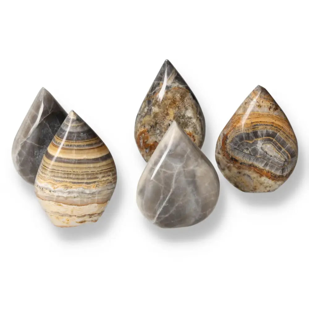 Bumble Bee Onyx gemstones showcasing yellow, black, and white bands, symbolizing strength, balance, and personal growth.