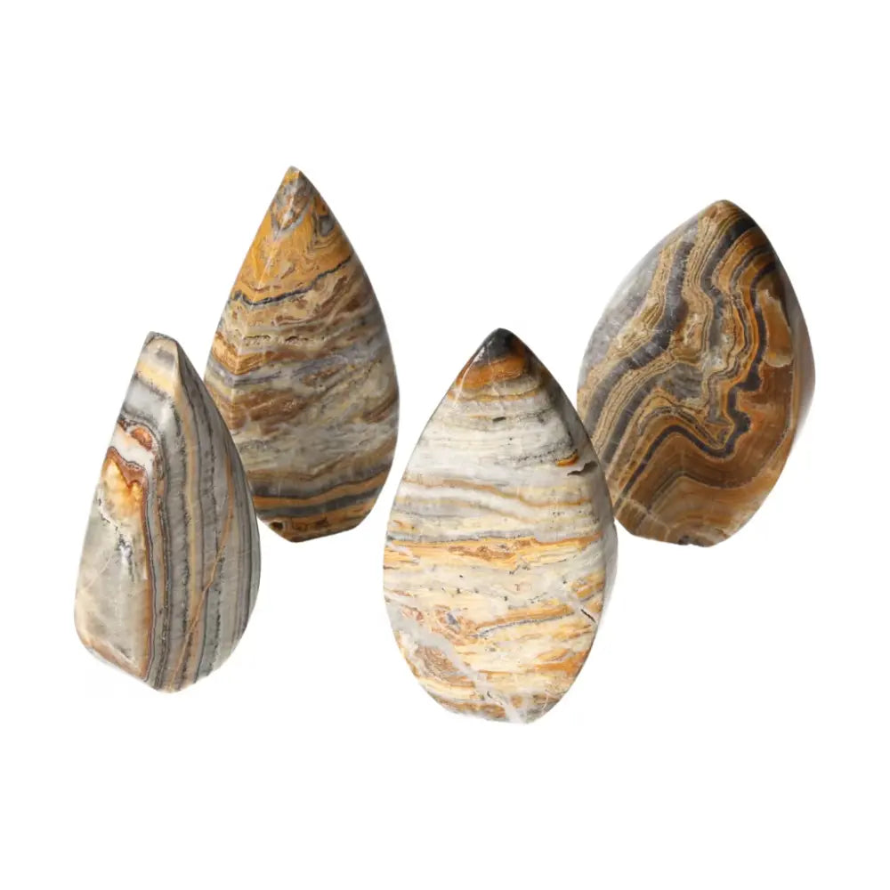 Four teardrop-shaped Bumblebee Onyx gemstones with vibrant yellow, black, and white bands, symbolizing strength and balance.