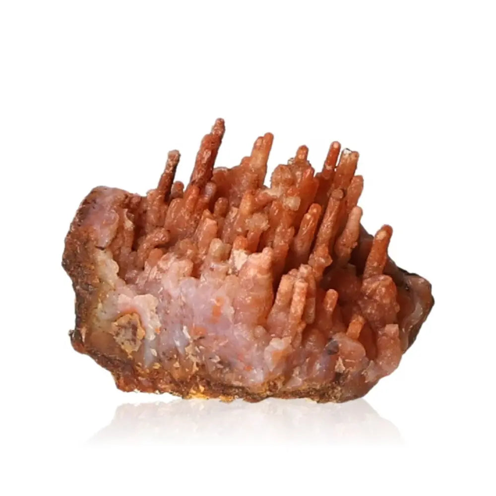 Calcite stalactite showcasing earthy tones and layered structures, known for its growth and energy properties.