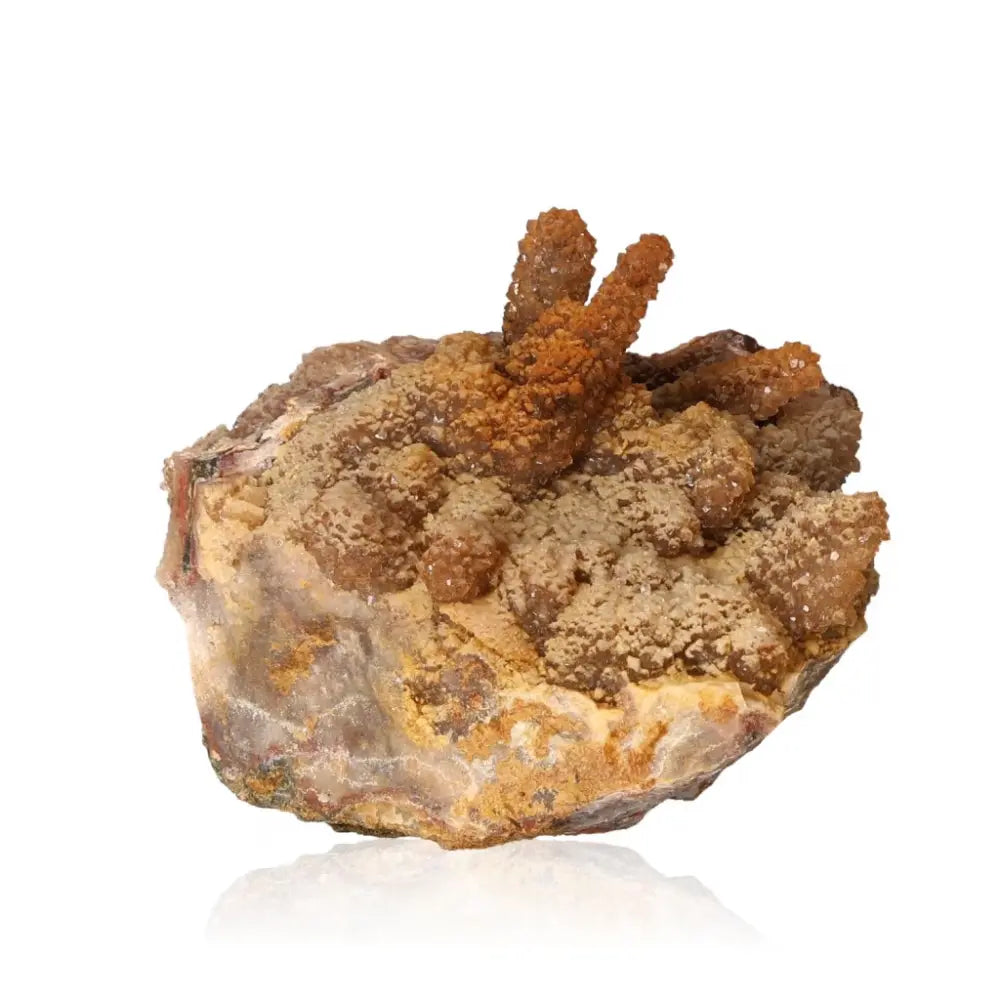 Calcite Stalactite showcasing layered structure and rich earthy tones, symbolizing growth and transformation.