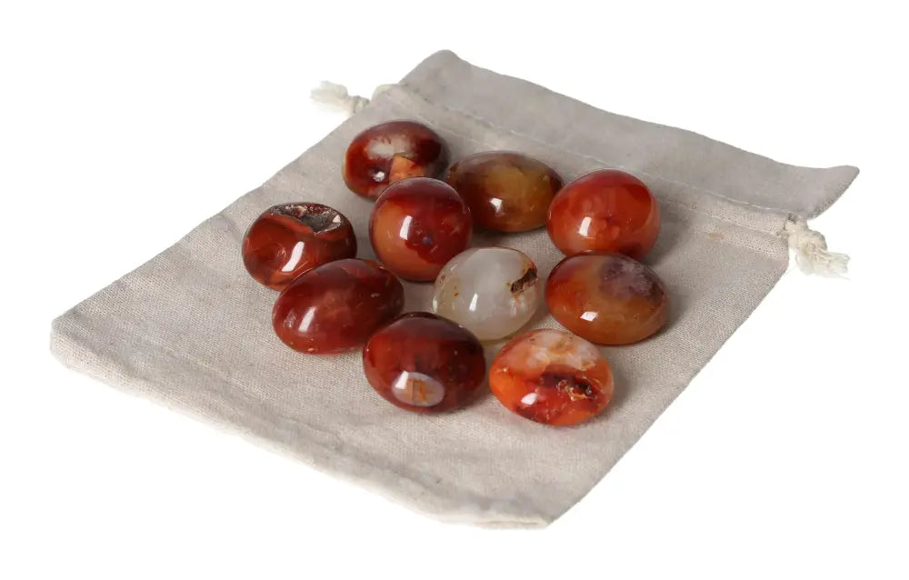 orbitvu|type:image2d