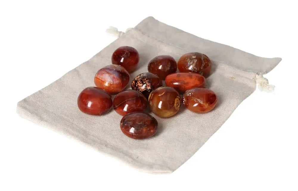 orbitvu|type:image2d