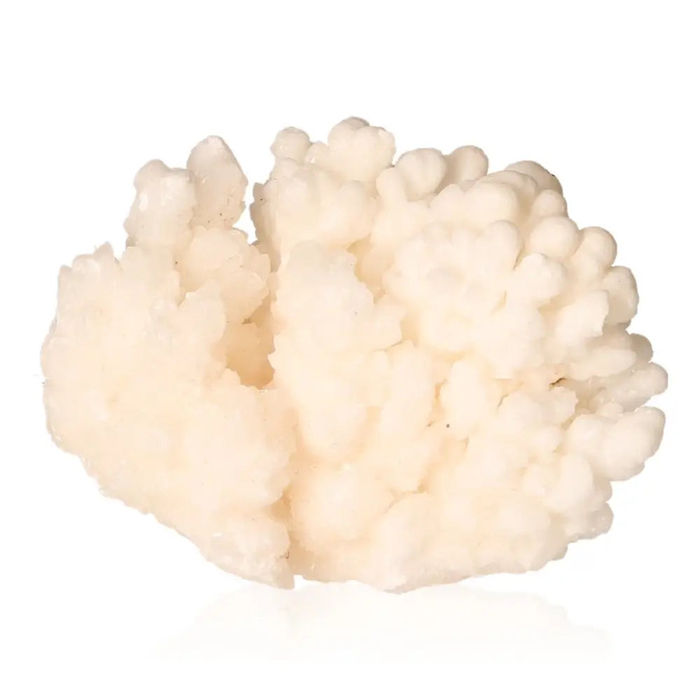 Cave Calcite Stalactite Cluster - Intricate Mineral Formation, Natural Growth, Layered Textures in Cavernous Beauty