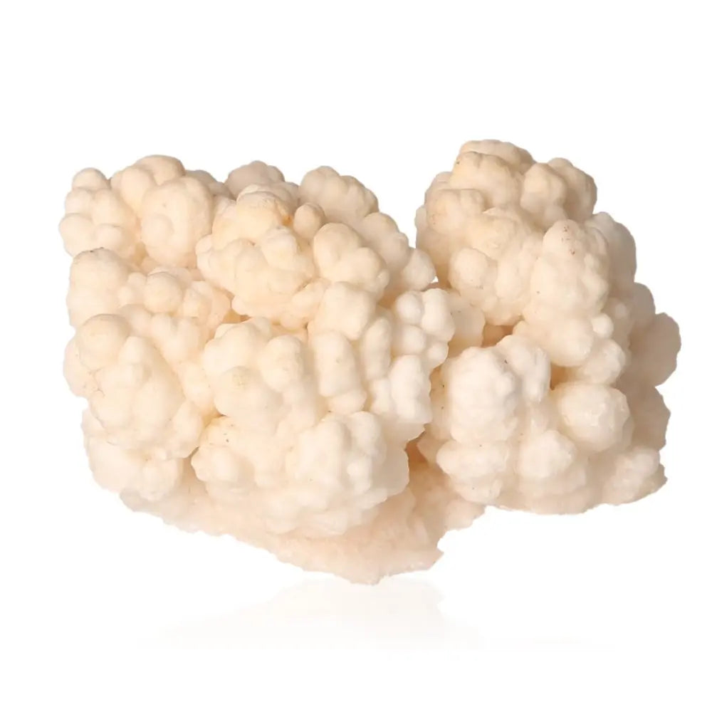 Natural cave calcite stalactite cluster showcasing intricate white formations, ideal for collectors and spiritual enthusiasts.