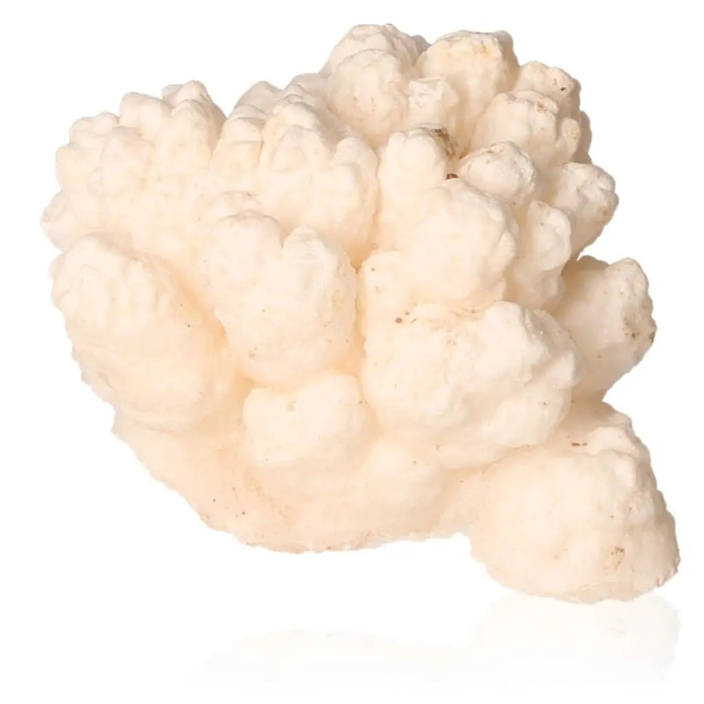 Cave Calcite Stalactite Cluster - Natural growth, intricate shapes, energy, perfect for collectors and spiritual exploration.