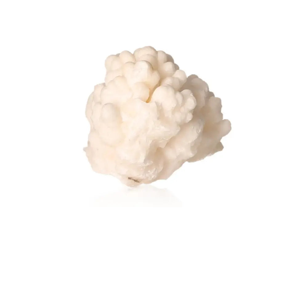 Cave calcite stalactite cluster with intricate shapes and layered textures, representing natural craftsmanship and growth.