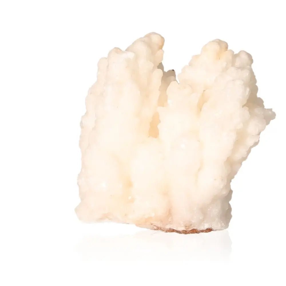 Cave Calcite Stalactite Cluster showcasing intricate natural formations and layered textures on a white background.