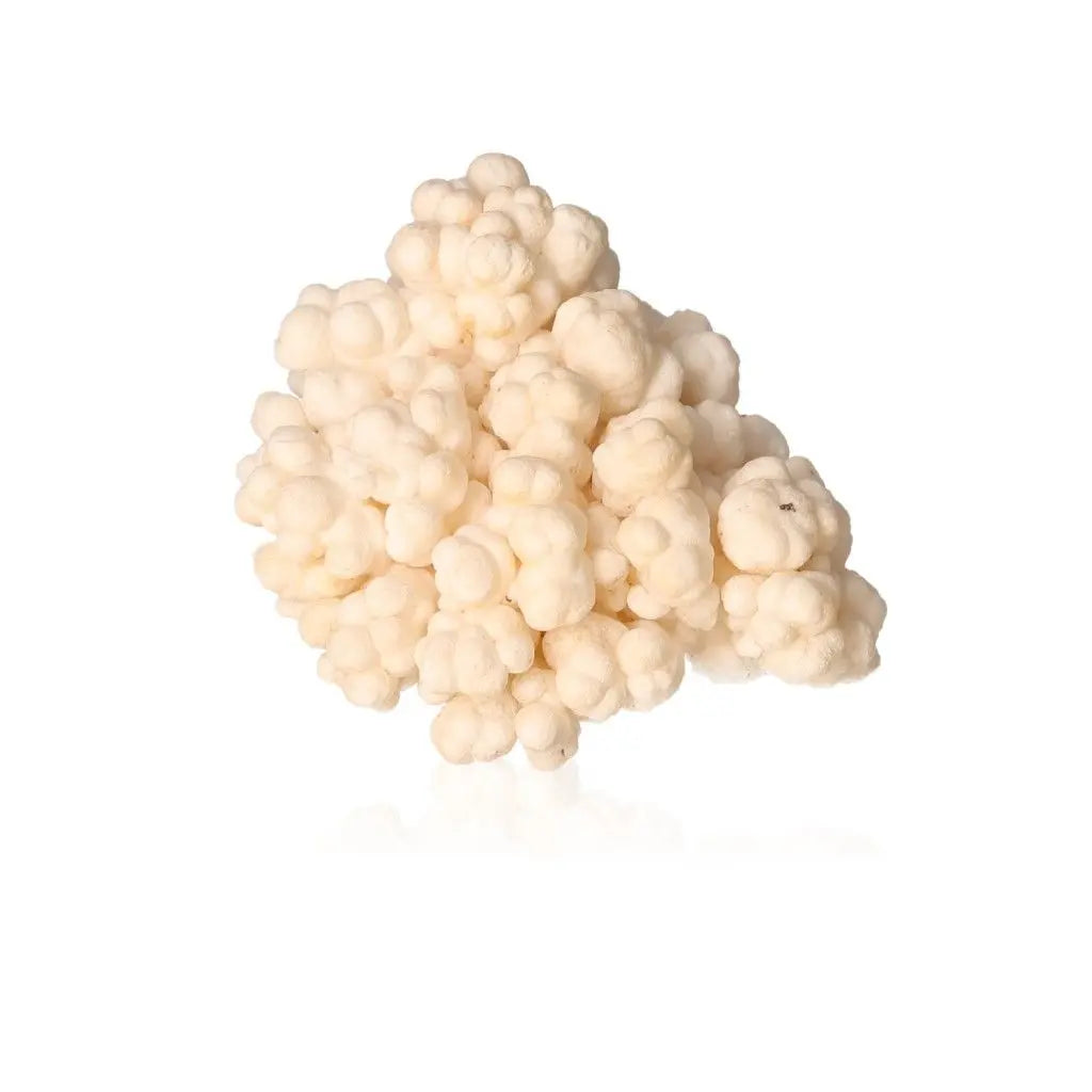 Cave Calcite Stalactite Cluster with intricate shapes, representing natural beauty and growth energy in a mineral formation.