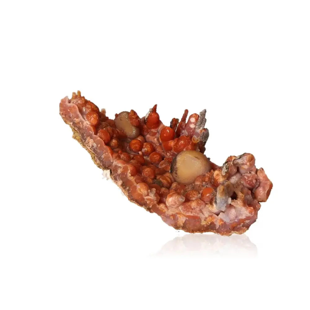 Chalcedony Stalactite featuring rich hues and unique formations, a premium crystal by Sylvia Crystals offering elegance and transformative energy.