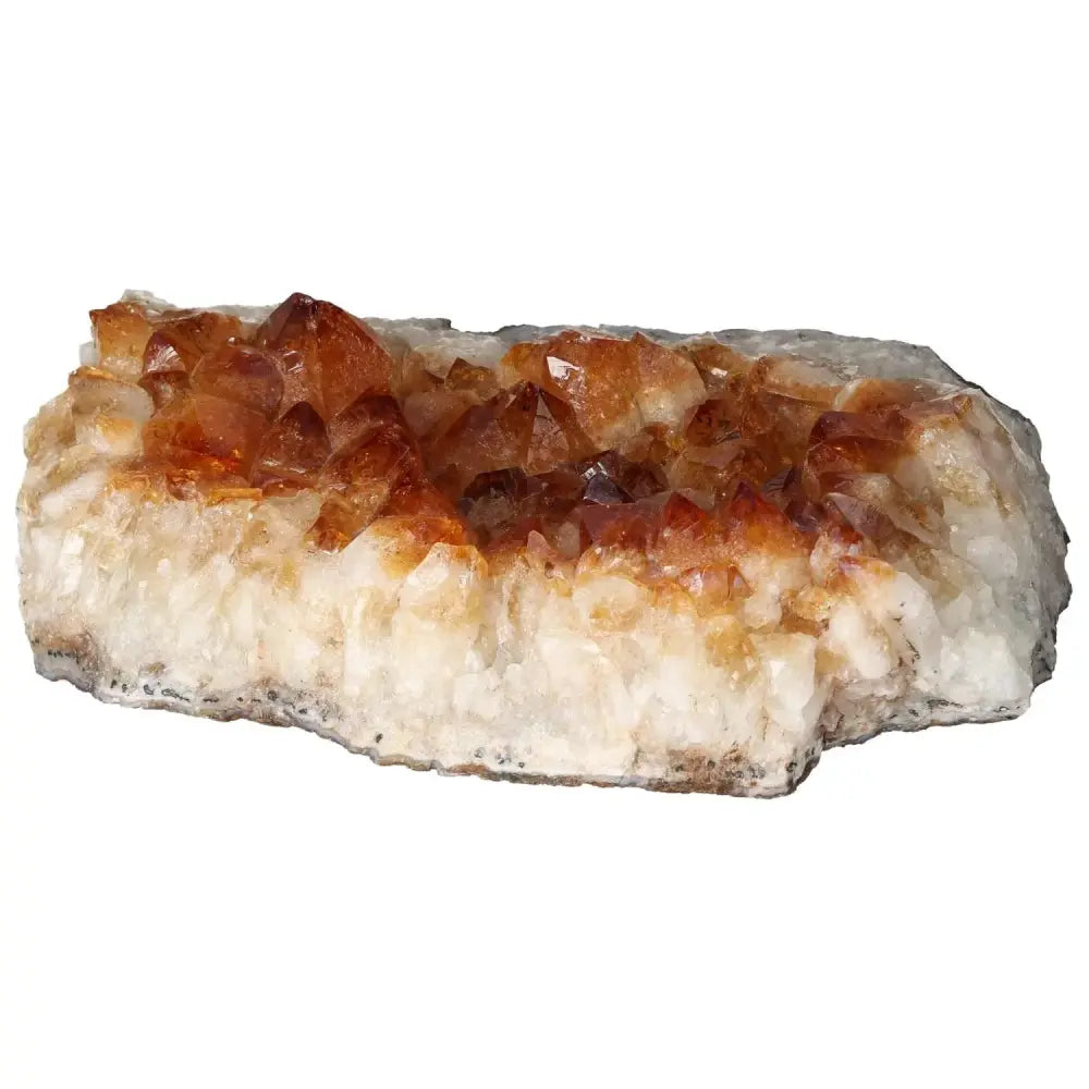 orbitvu|type:image2d