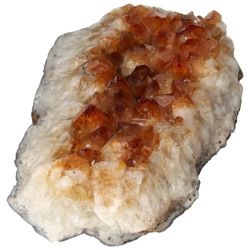 orbitvu|type:image2d