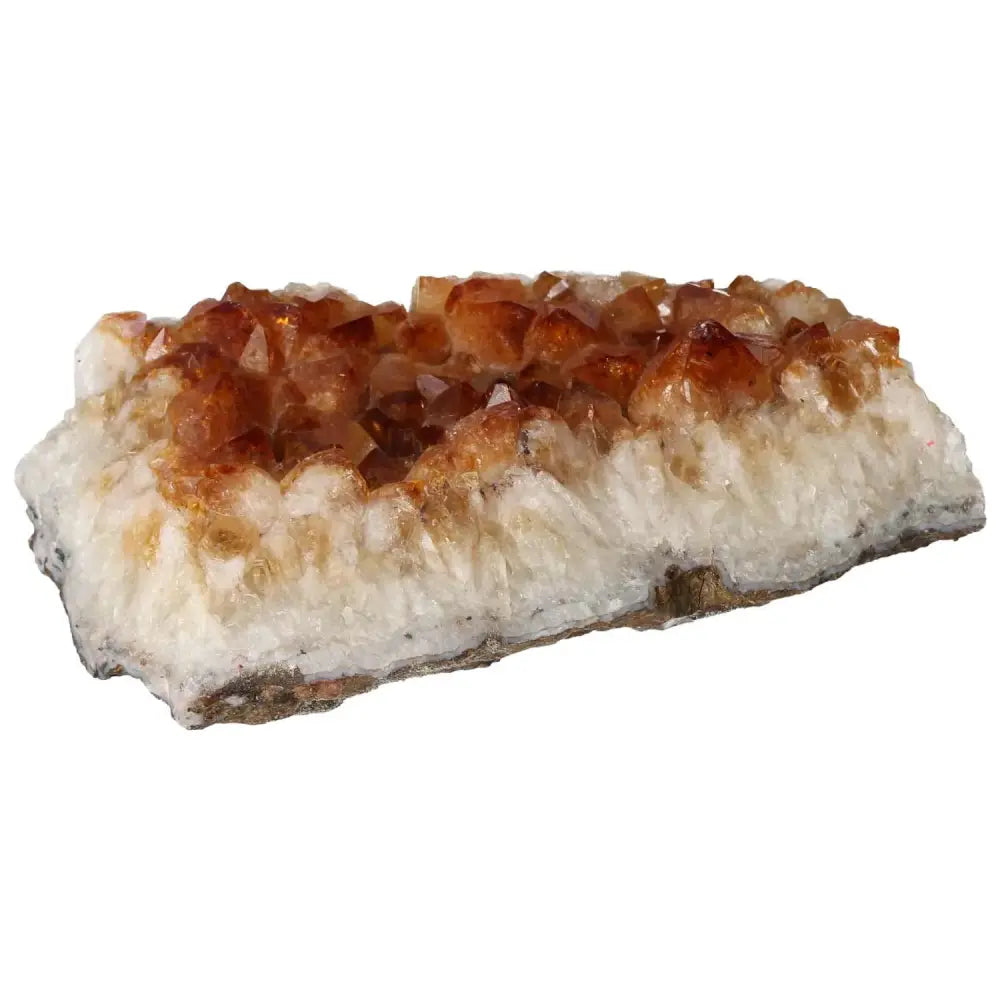 orbitvu|type:image2d