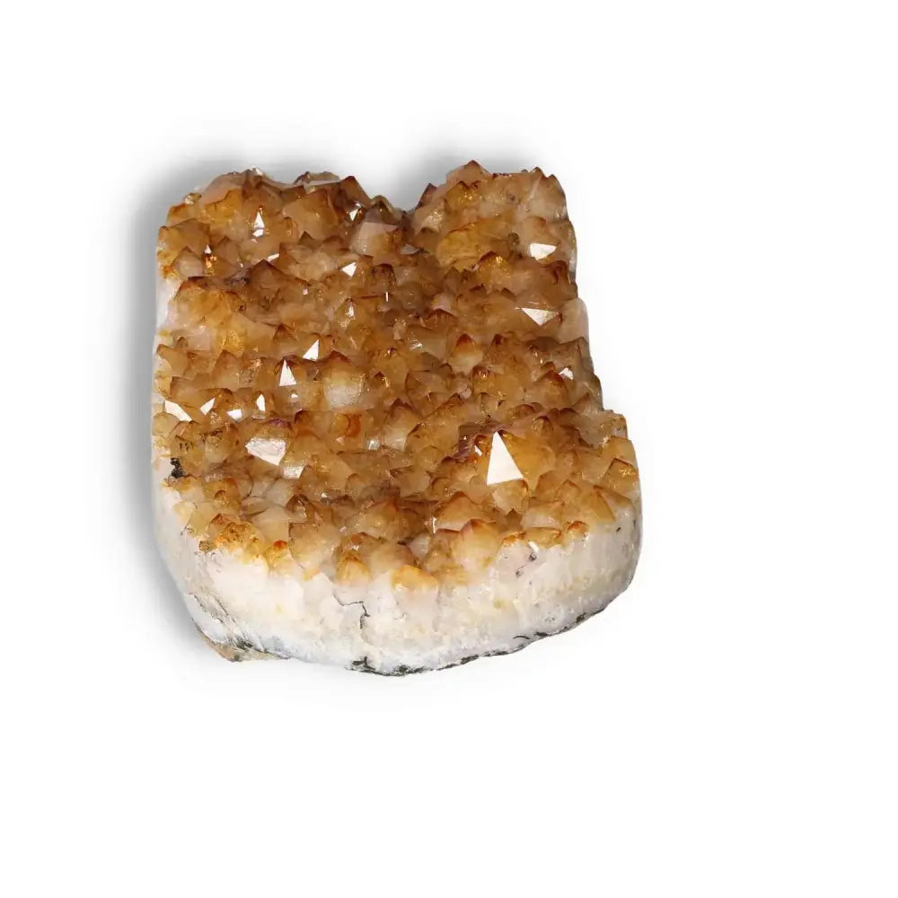 Handpicked Citrine Druze crystal from Sylvia Crystals, showcasing vibrant golden hues for inspiration and positive energy.