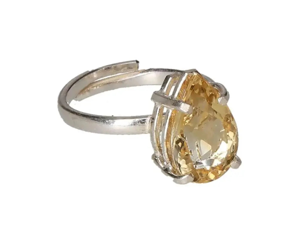 orbitvu|type:image2d