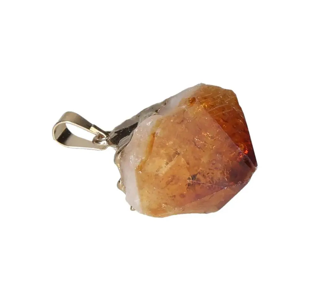 orbitvu|type:image2d