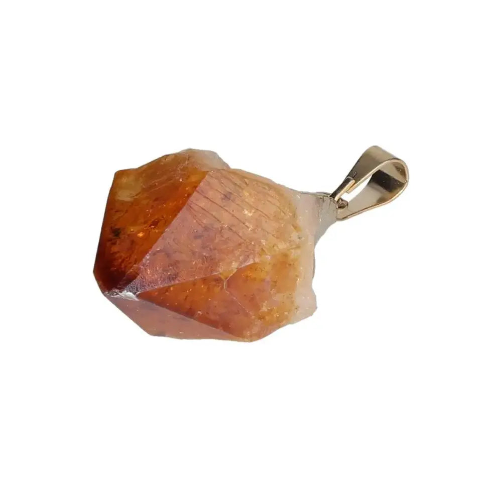 orbitvu|type:image2d