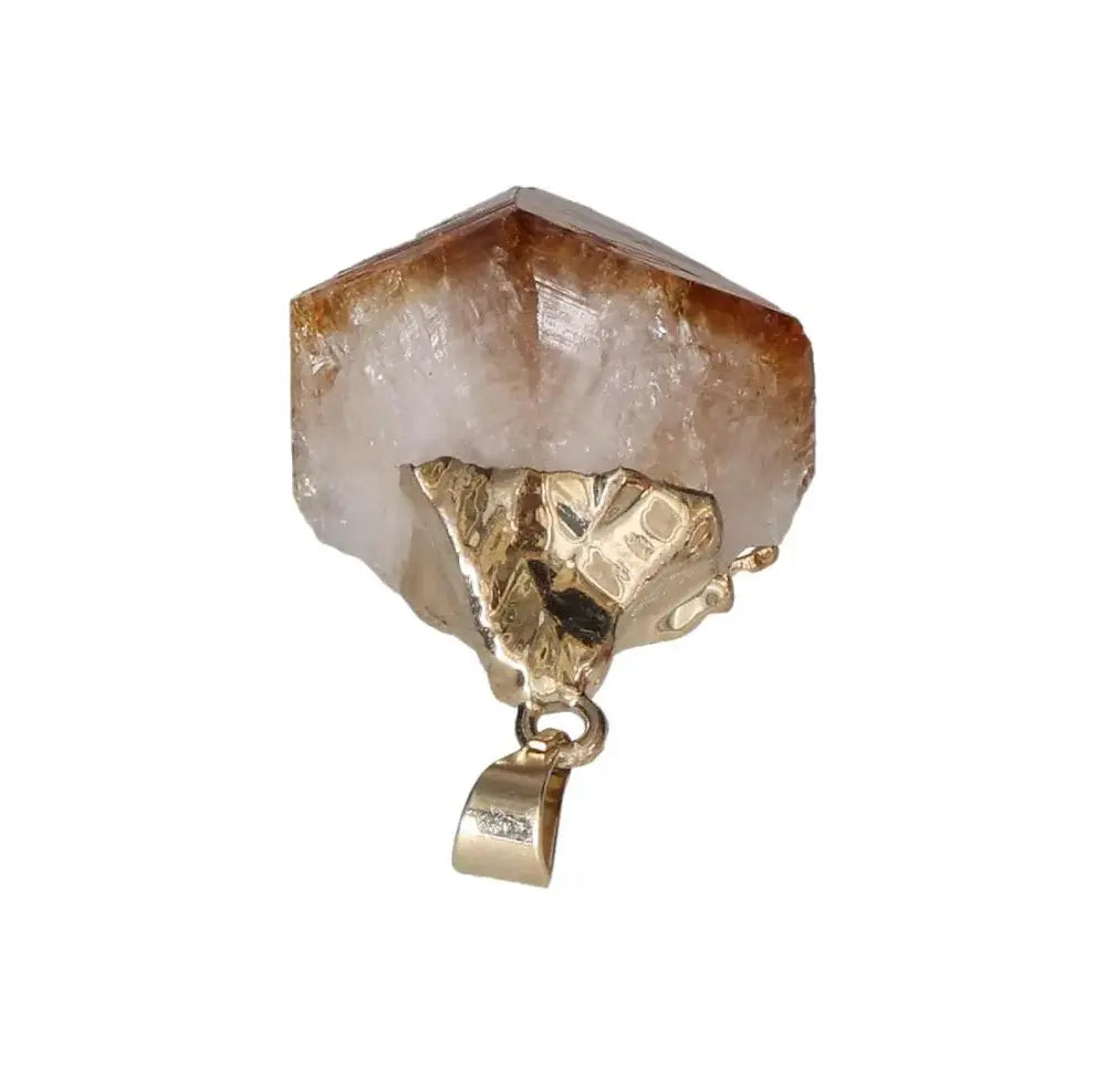 orbitvu|type:image2d