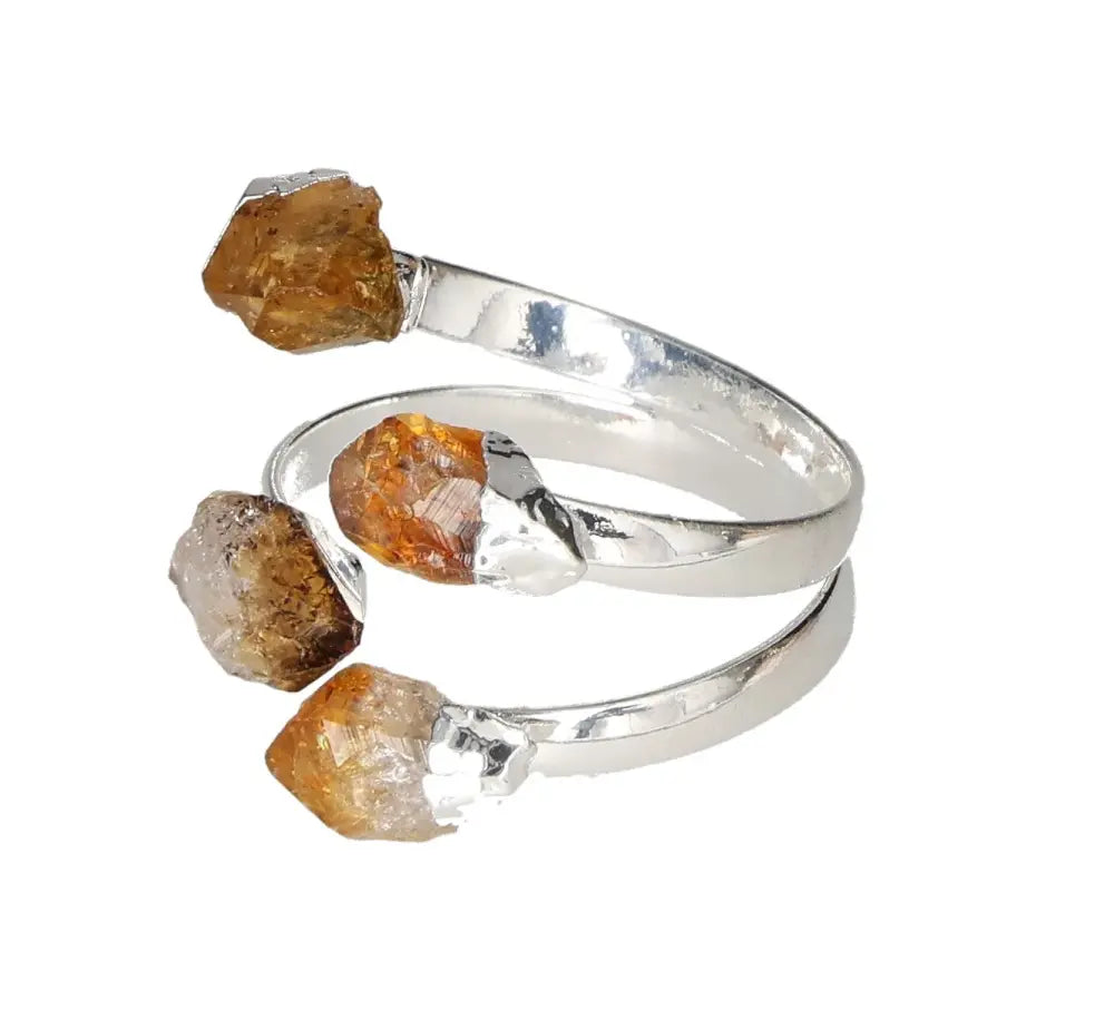 orbitvu|type:image2d