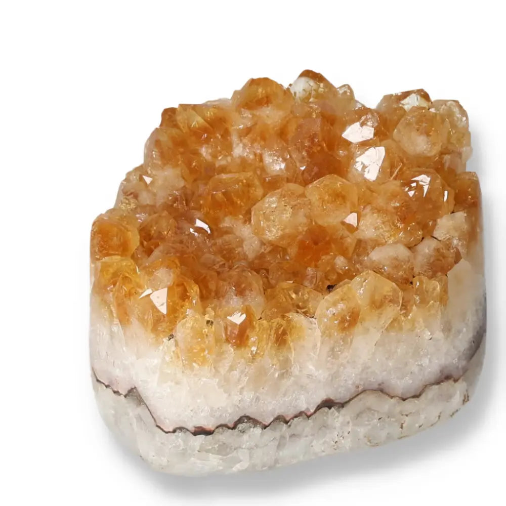 orbitvu|type:ORBITVU 360|https://orbitvu.co/share/JJEufU6gFU8FWJoaEyZL4K/6715316/360/iframe