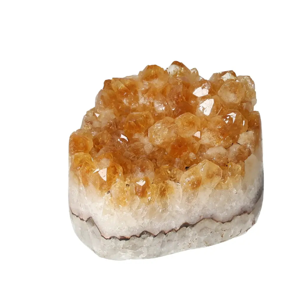 orbitvu|type:image2d