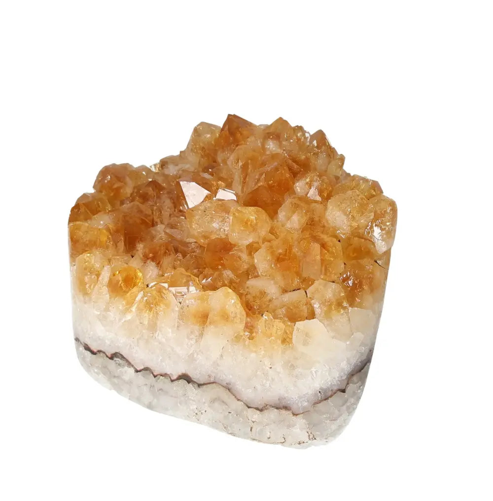 orbitvu|type:image2d