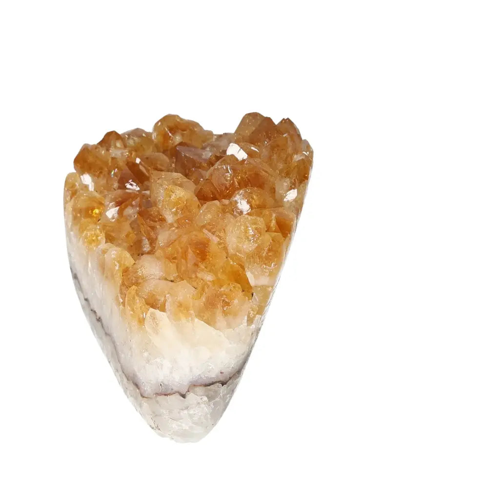 orbitvu|type:image2d