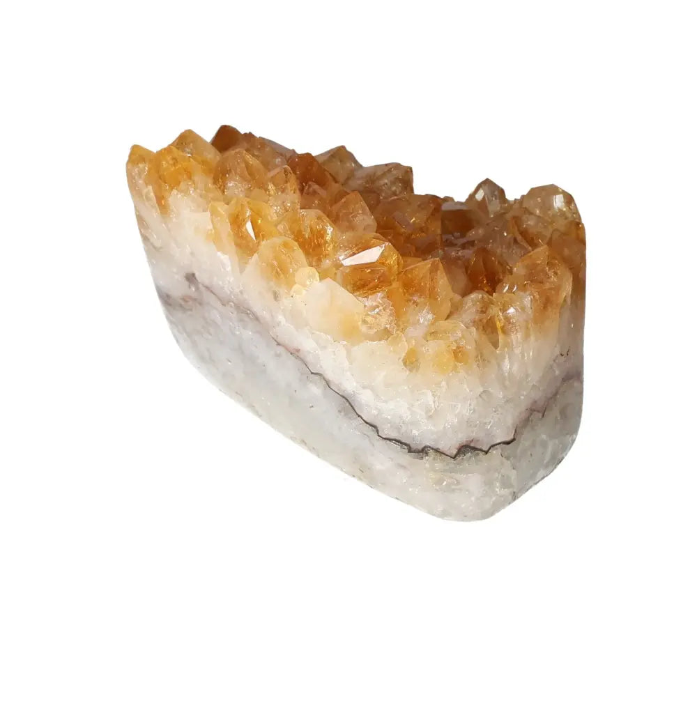 orbitvu|type:image2d