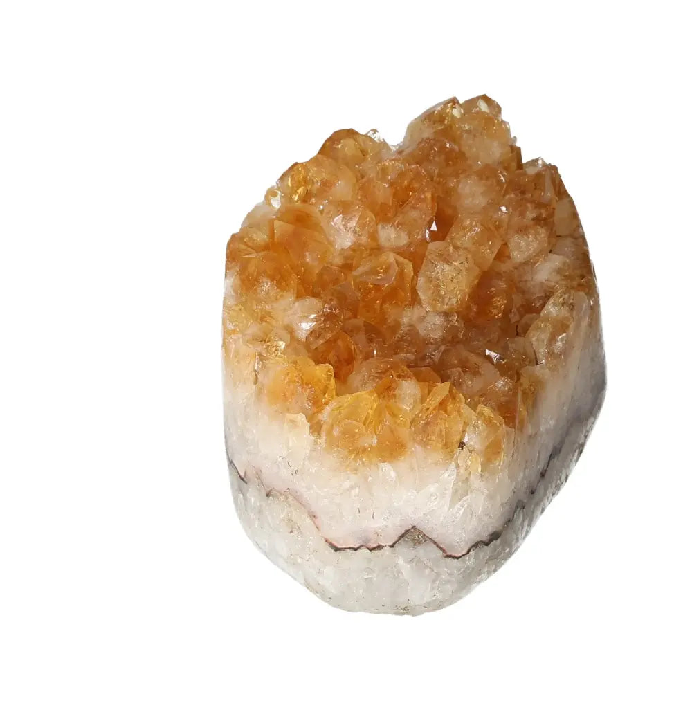 orbitvu|type:image2d