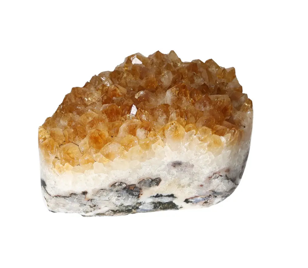 orbitvu|type:image2d