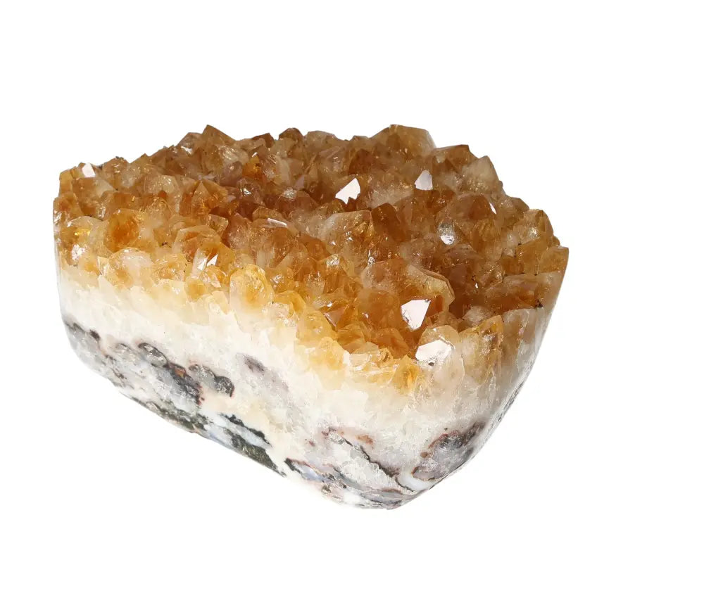 orbitvu|type:image2d