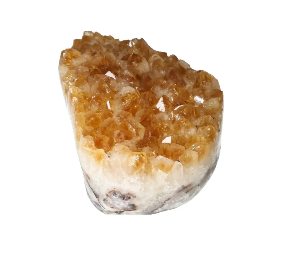 orbitvu|type:image2d