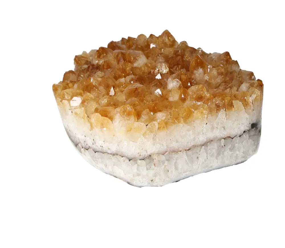 orbitvu|type:image2d