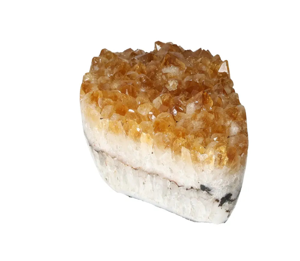 orbitvu|type:image2d