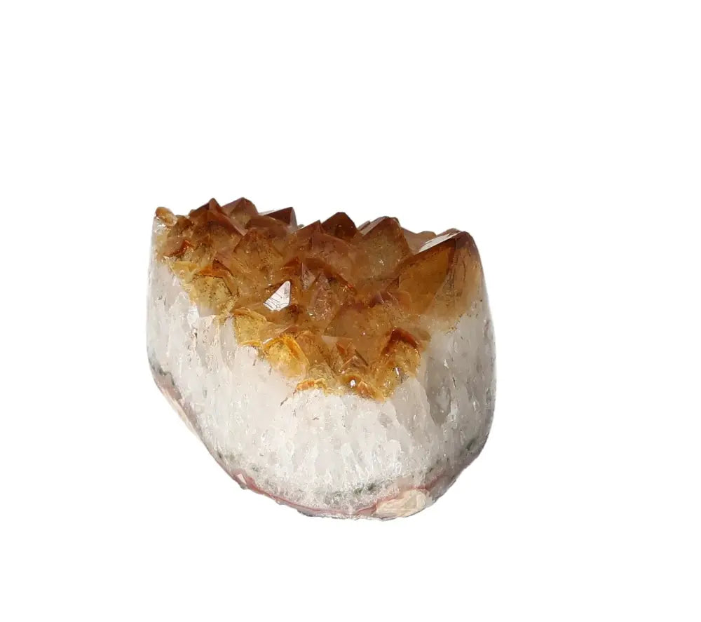 orbitvu|type:image2d