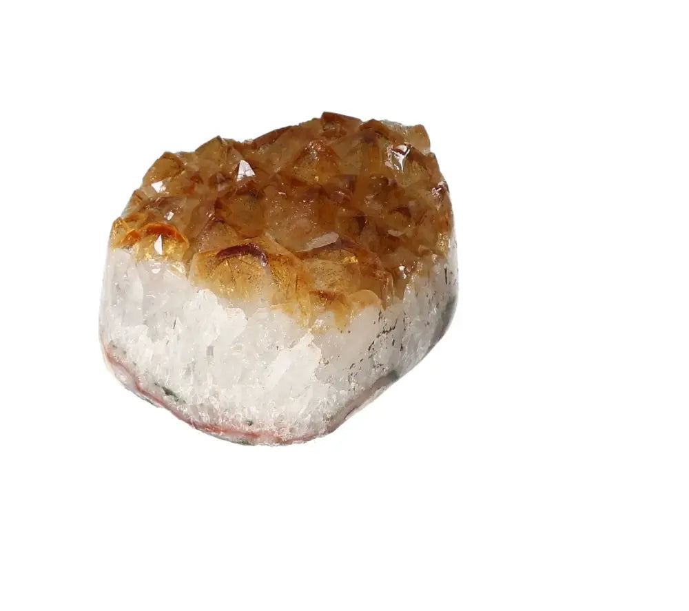 orbitvu|type:image2d