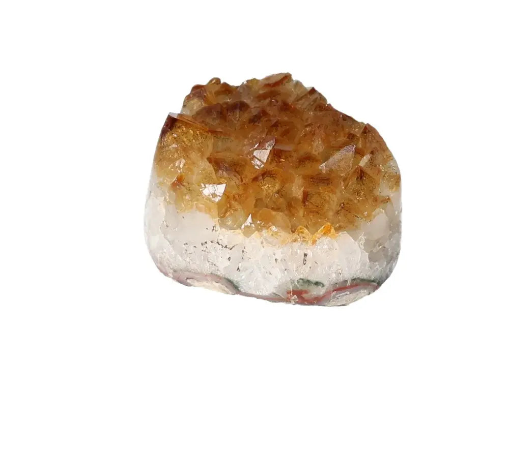 orbitvu|type:image2d